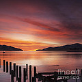 Beautiful Sunrise