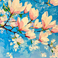 Magnolia