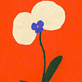 White Orchid, Red Background